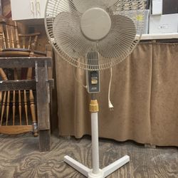 Standing Fan 