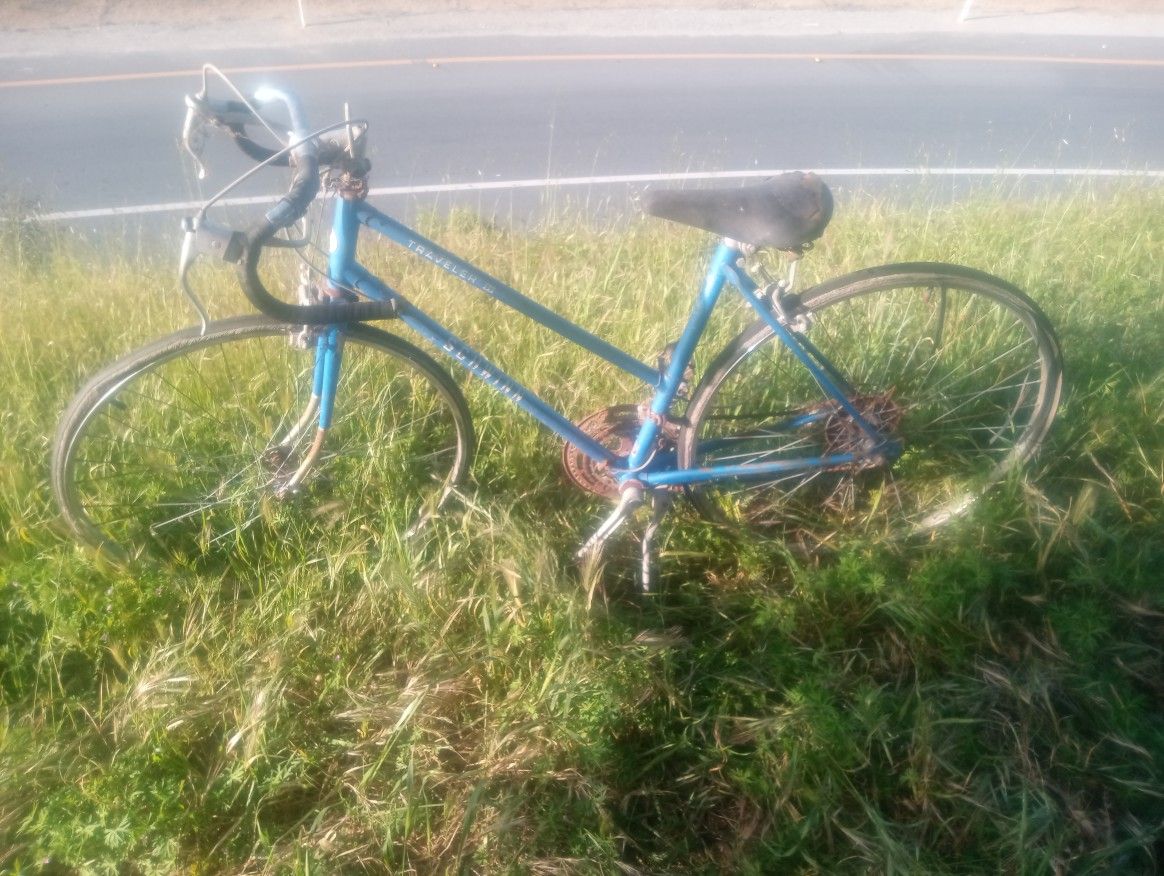 Vintage Schwinn Bike 