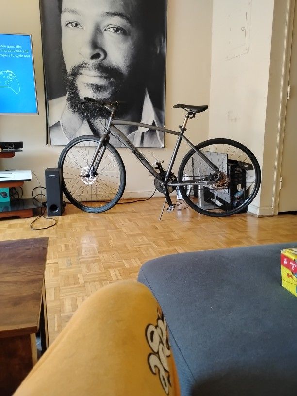 Raleigh Performance Bike Large 