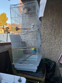 Bird cage