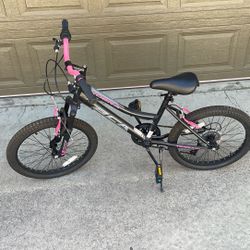 Girl’s 20 Inch Bike