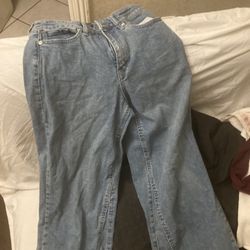 Wide Leg Pants 