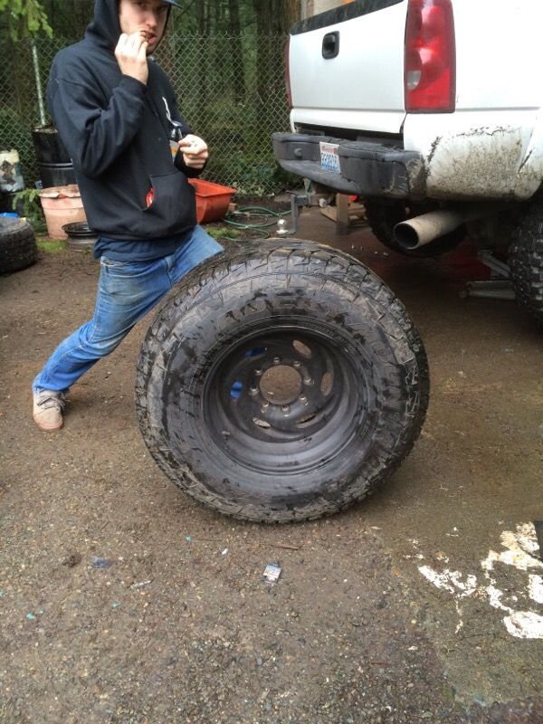 Falken mt