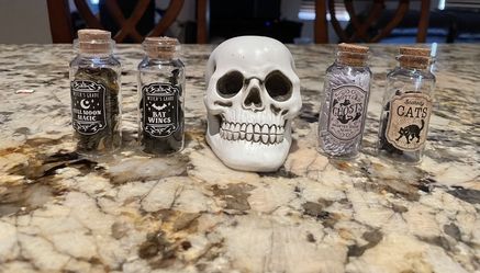  *** MAKE AN OFFER*** Target Bullseye Playground Halloween Skeleton Head and Potion Bottles