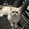 Katherine