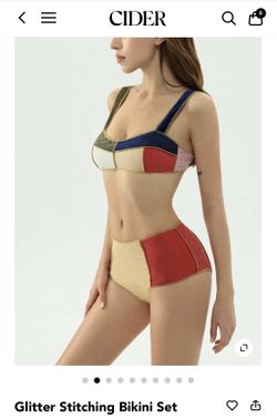 Band New Color Block Glitter Stitch Bikini Size Mediumr