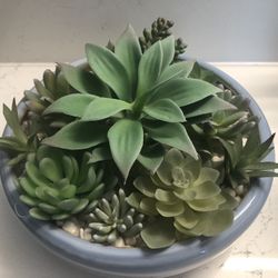vase with artificial succulents, diameter 10
