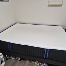 Nectar Hybrid Queen Mattress & Bedframe