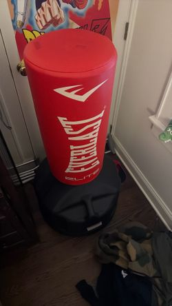 Everlast Punching Bag