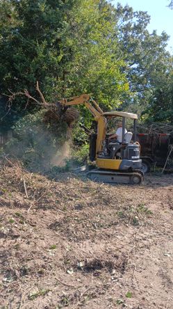 Mini Excavator With Operator