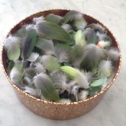 Feathers for jewelry , all for $15, around 250 feathers