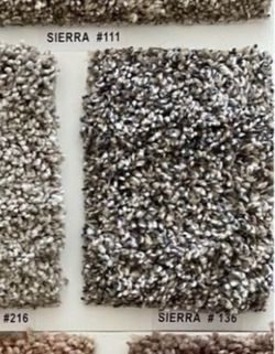 Sierra 136 Carpet Sample