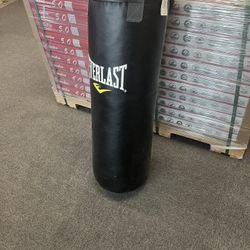 Everlast Punching Bag