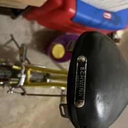 Schwinn Bike