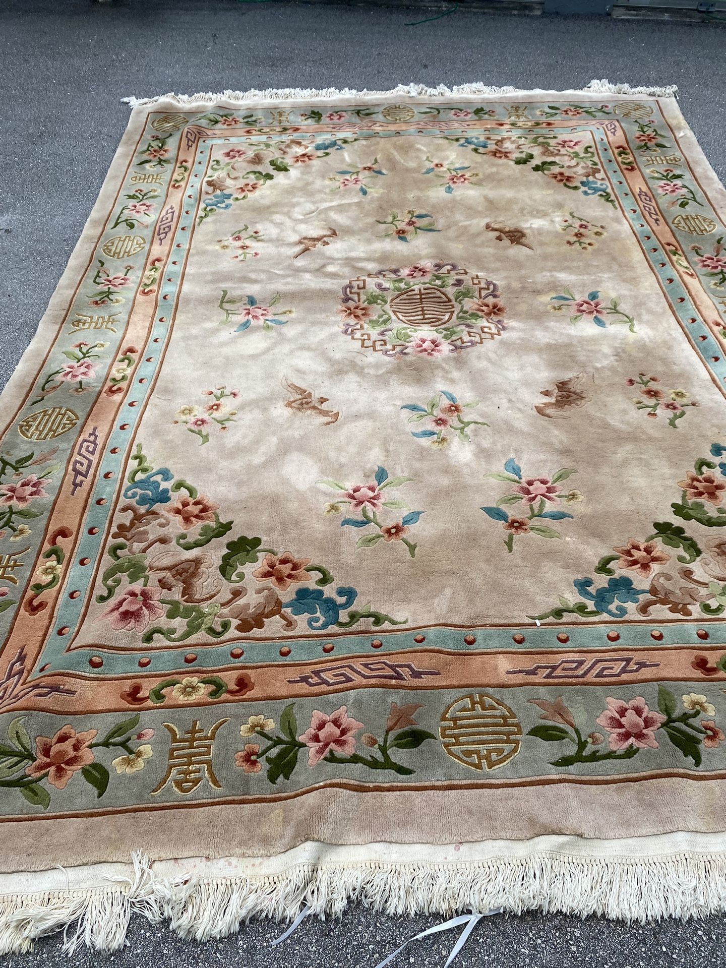Oriental 9x12 Rug