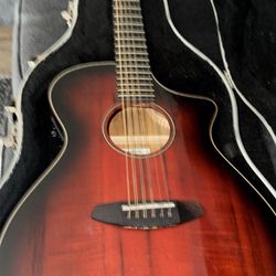 Breedlove 12 String