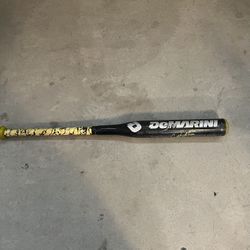 Bat