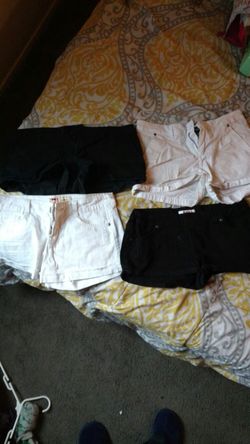 Women shorts