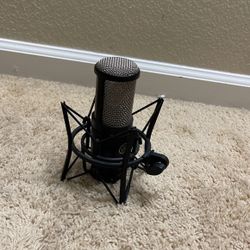 AKG P220 True Condenser Studio Stage Vocal Acoustic Guitar Brass Microphone