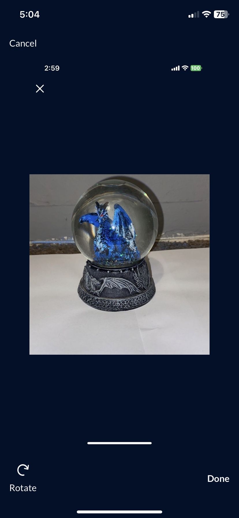 Dragon Snow Globe