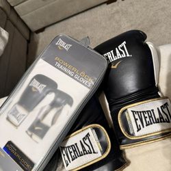 Everlast Boxing gloves Lightly Used