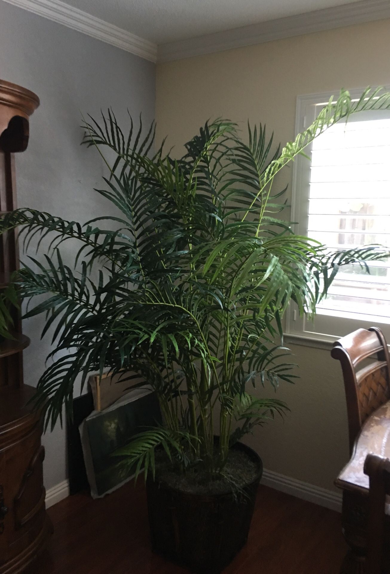 Fake artificial plant 6 ft high