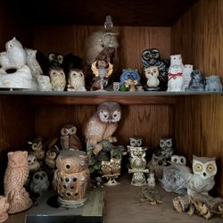 Owl Collection