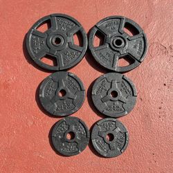 1 Inch Gym Plates  10x2 5x2 2.5x2 New 