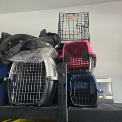 Dog Kennels