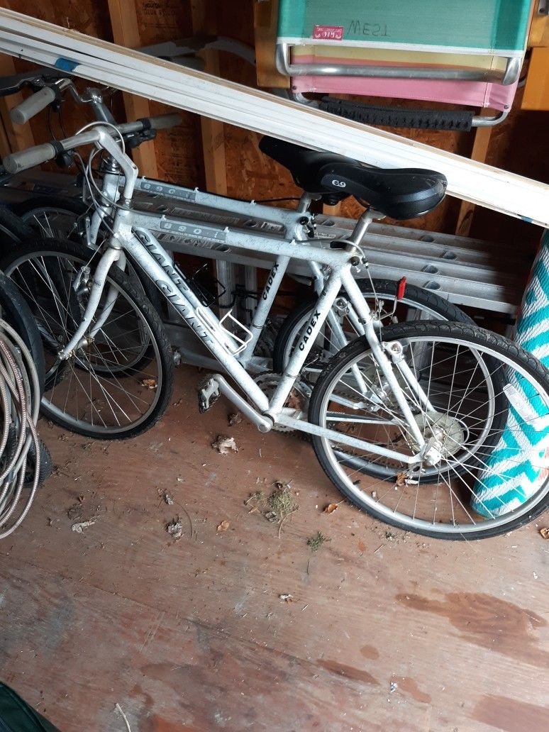 CADEX  Giant Bicycle(s)