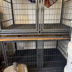 Jaulas para perros