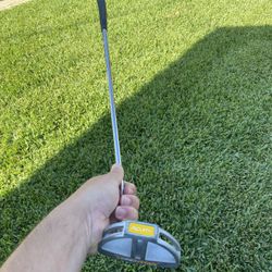 Acuity Mallet Putter
