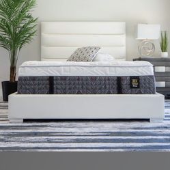 Top Quality FIRM California King Mattress