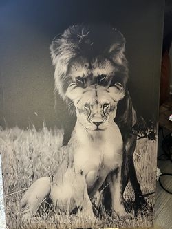 Lion Canvas Thumbnail
