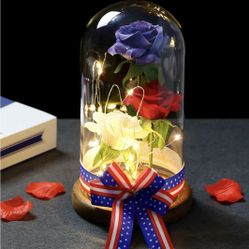 Enchanted Rose in Glass Dome with LED Lights – Brand New