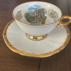24k Gold Trim Frankfurt Zoo-Gesellschaftshaus  Demitasse  Teacup 