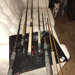 Assorted Fishing Poles 5