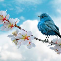 Bird Within The Blue 