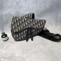 Dior saddle bag with oblique embroidery and printed design