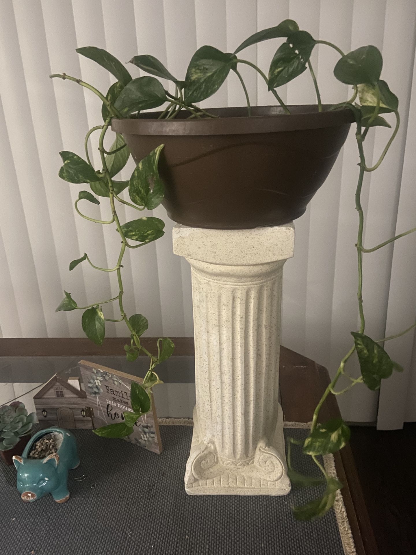 Vine Plant With Stand