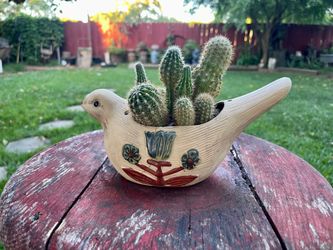 Vintage 1970 Mexican clay pottery bird planter with cactus
