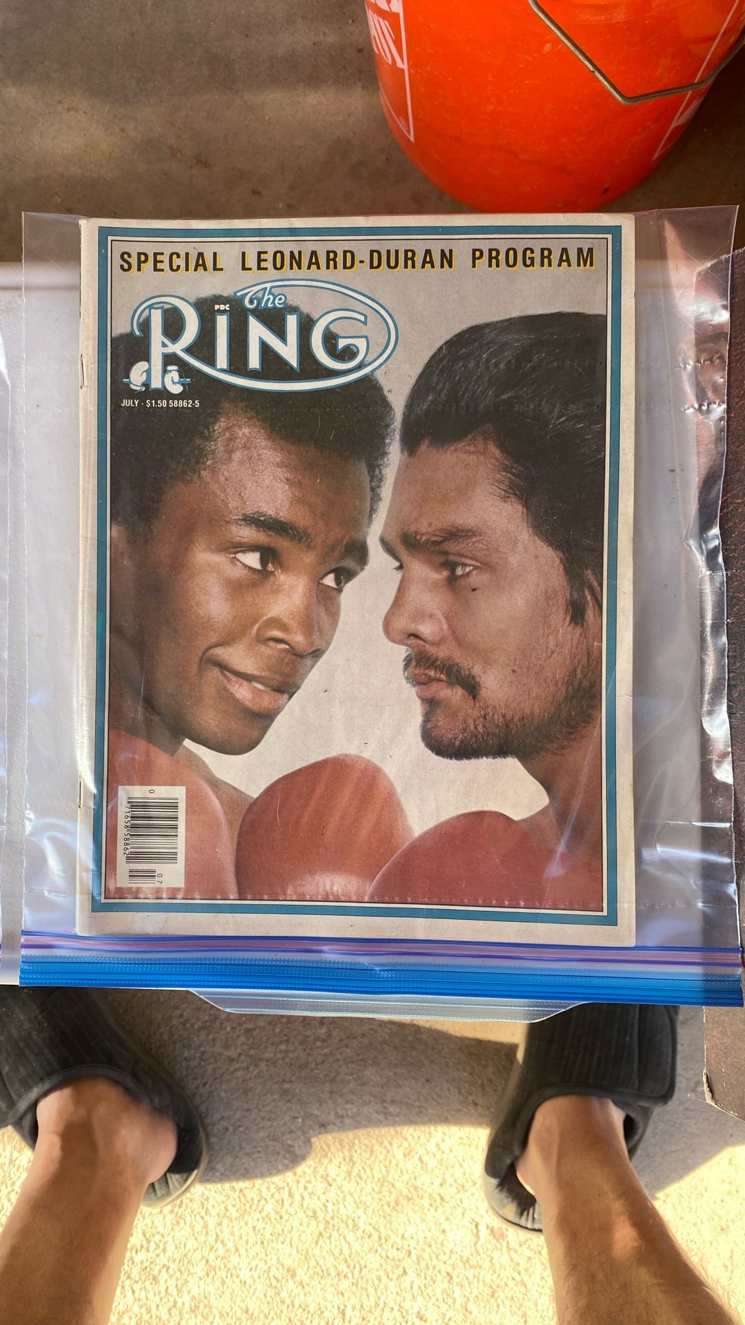 Leonard Vs Duran