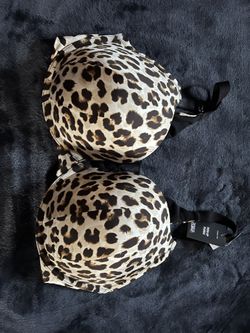 Torrid Bra