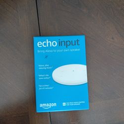 Echo Input
