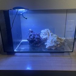 Fluval Evo 13.5 Gallon Saltwateri Aquarium – Nano Reef Tank w/ Rock