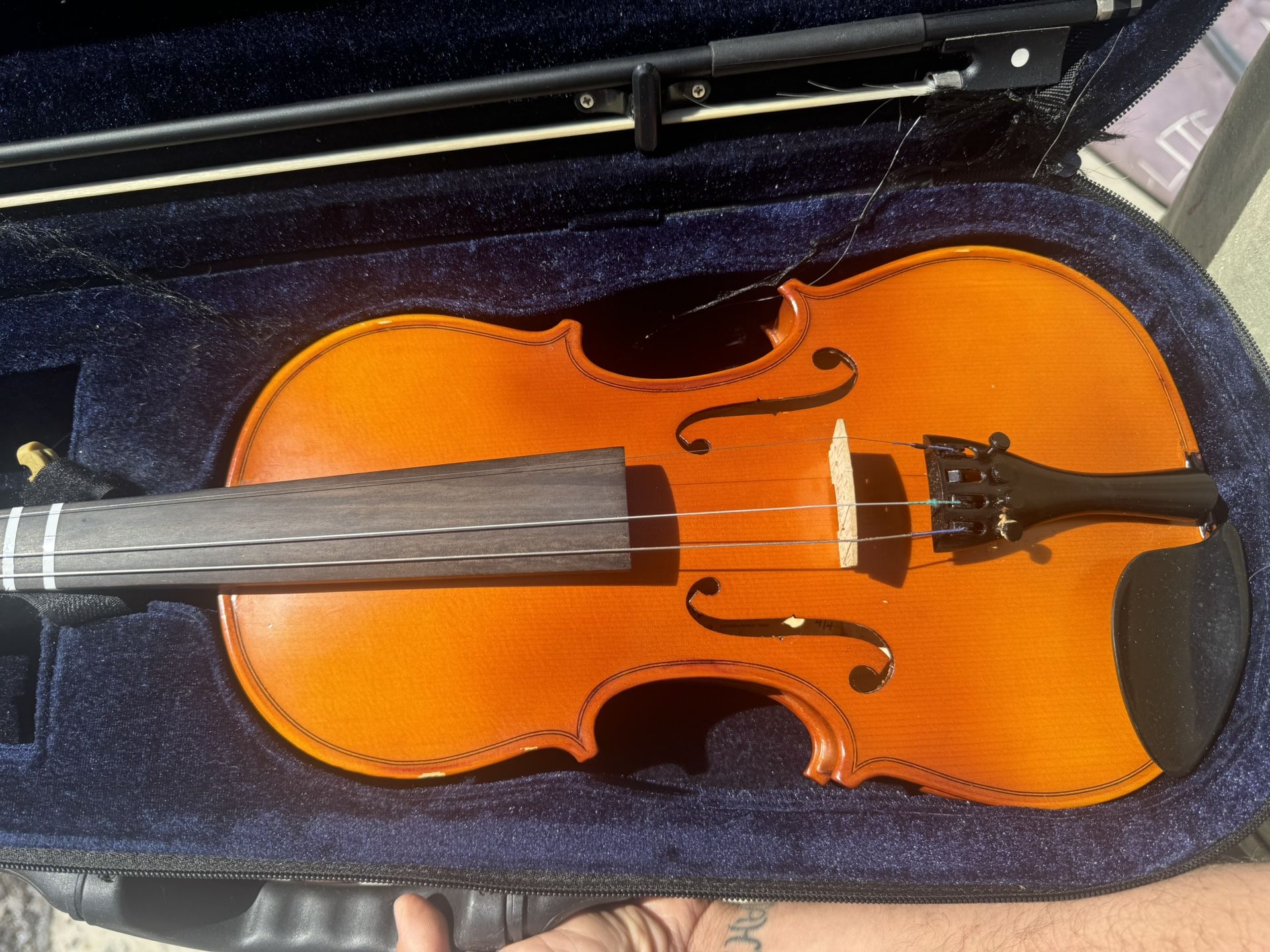 Violin Instrument