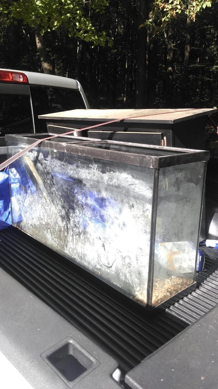 55 Gallon Fish Tank