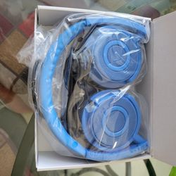 Headphones W/Microphone