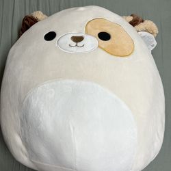 Harrison 16” Squishmallow