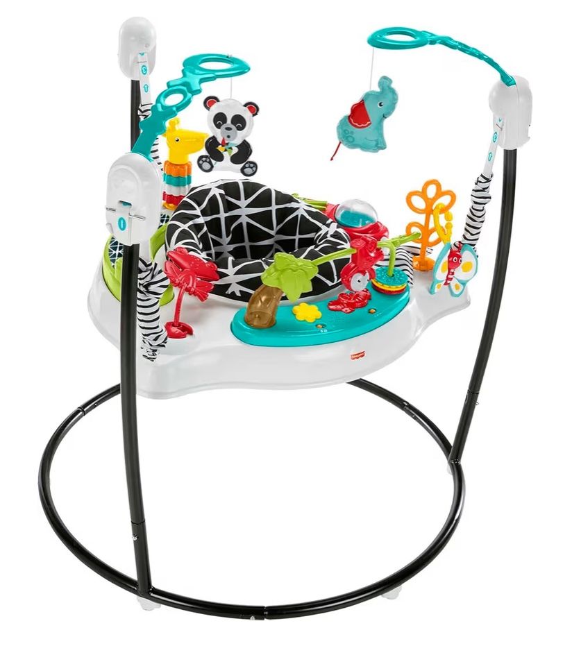 Fisher-Price Baby Bouncer Jumperoo
